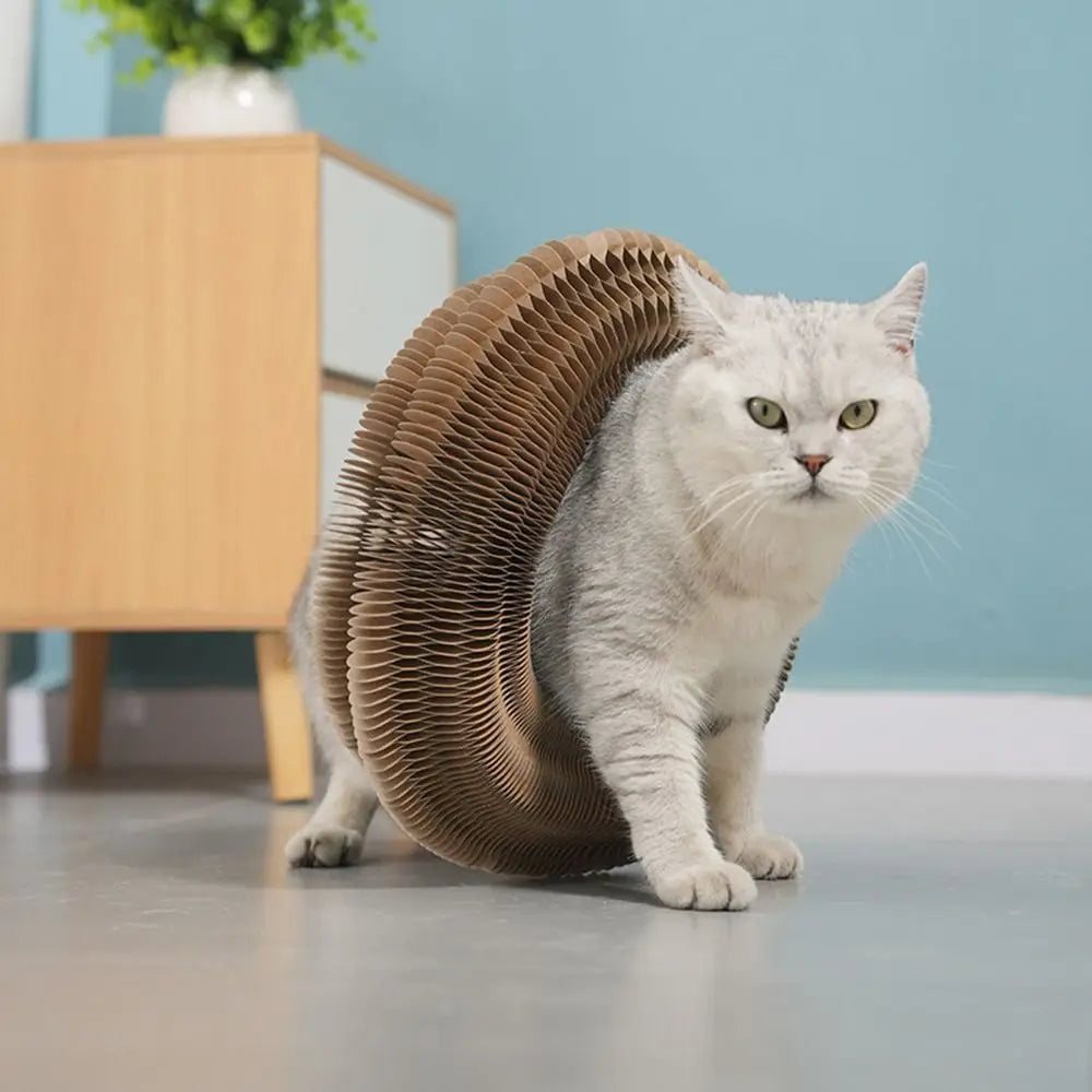 Transformable Kitty Kurlz Cat Toy Wear-Resistant No Crumbs Cat Accordion Magic Organ Resistant To Scratching Ball Scratch Pad