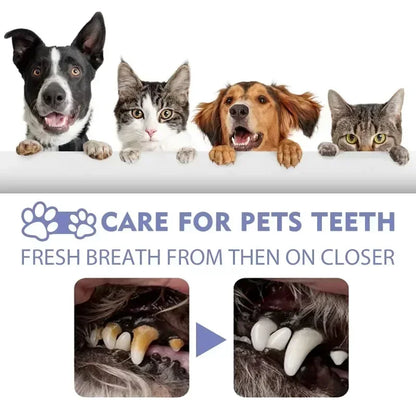 Pet Teeth Cleaning Spray Oral Care Remove Tooth Stains Keep Fresh Breath for Cats and Dogs