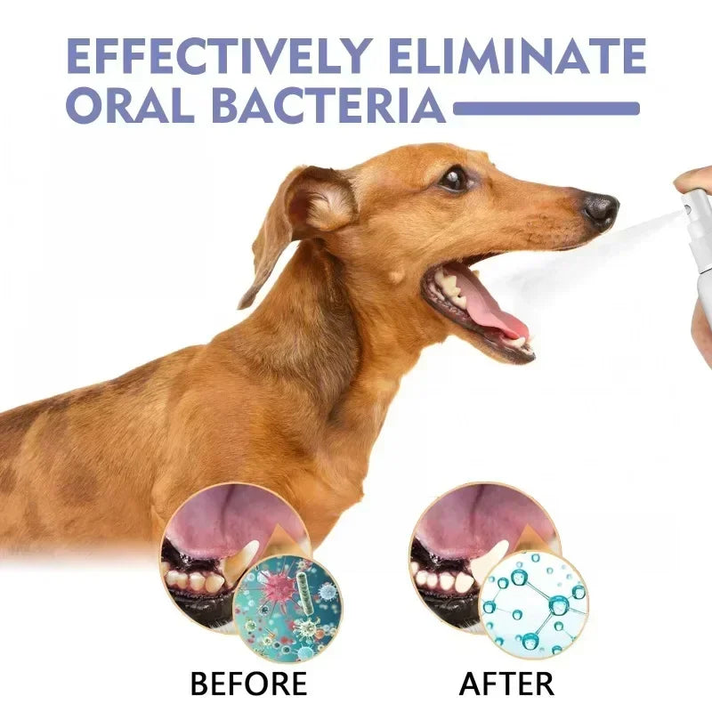 Pet Teeth Cleaning Spray Oral Care Remove Tooth Stains Keep Fresh Breath for Cats and Dogs