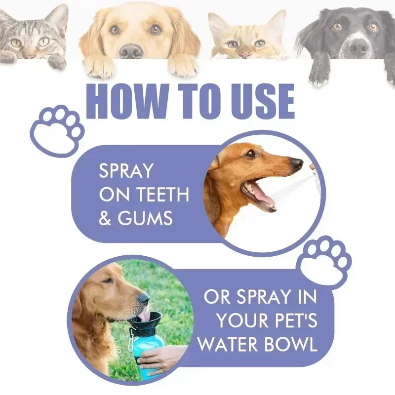 Pet Teeth Cleaning Spray Oral Care Remove Tooth Stains Keep Fresh Breath for Cats and Dogs
