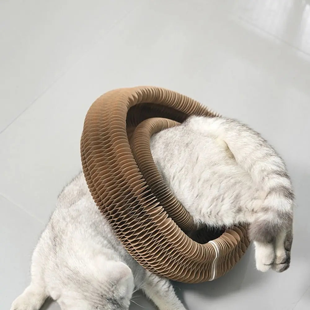 Transformable Kitty Kurlz Cat Toy Wear-Resistant No Crumbs Cat Accordion Magic Organ Resistant To Scratching Ball Scratch Pad