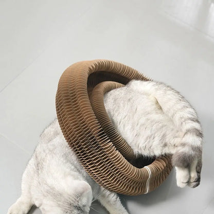 Transformable Kitty Kurlz Cat Toy Wear-Resistant No Crumbs Cat Accordion Magic Organ Resistant To Scratching Ball Scratch Pad