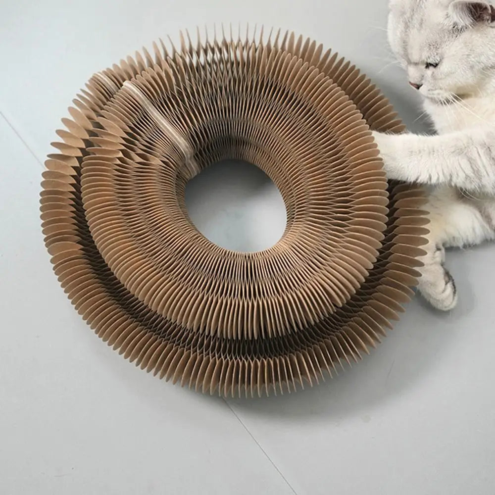 Transformable Kitty Kurlz Cat Toy Wear-Resistant No Crumbs Cat Accordion Magic Organ Resistant To Scratching Ball Scratch Pad