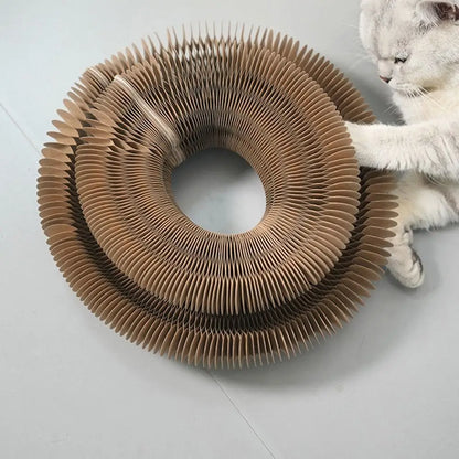 Transformable Kitty Kurlz Cat Toy Wear-Resistant No Crumbs Cat Accordion Magic Organ Resistant To Scratching Ball Scratch Pad