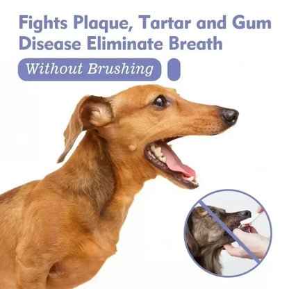 Pet Teeth Cleaning Spray Oral Care Remove Tooth Stains Keep Fresh Breath for Cats and Dogs