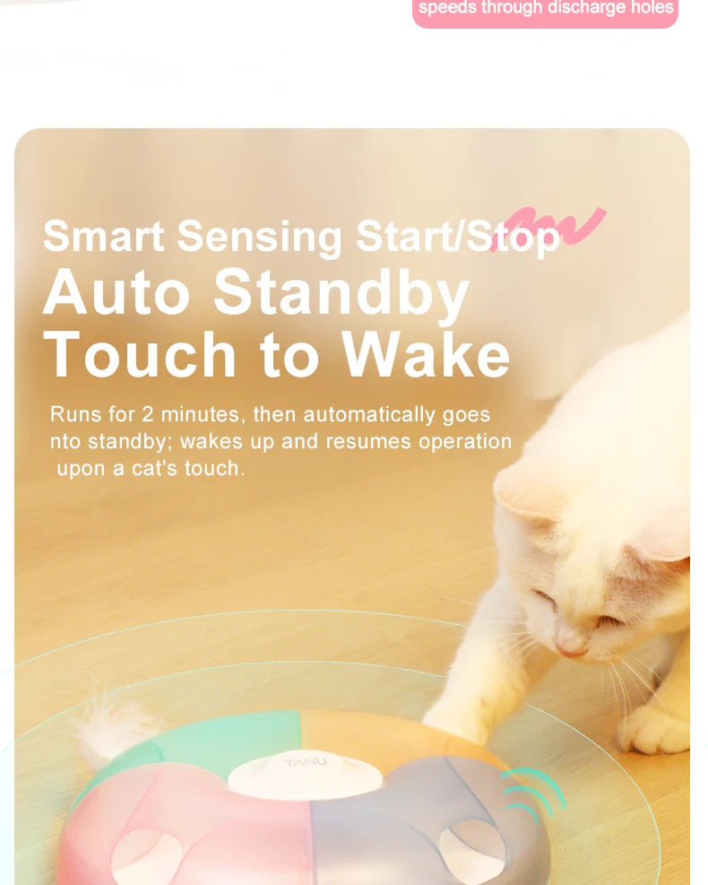 Smart Cat Toy, Whack-a-Mole Game, Automatic Hide and Seek Wand