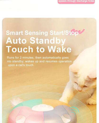 Smart Cat Toy, Whack-a-Mole Game, Automatic Hide and Seek Wand